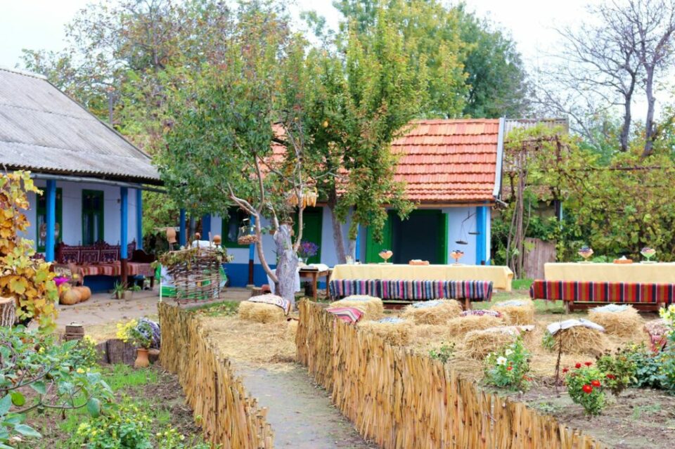 120960530_169229361424841_8938151029471495760_o-1024×682