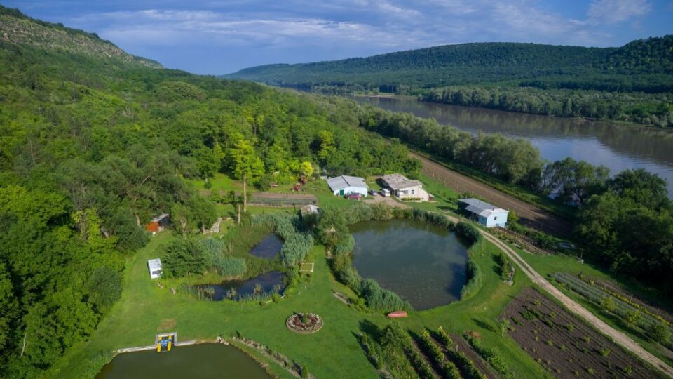 64782300_465262730915939_8931308518355501056_o-1024×576